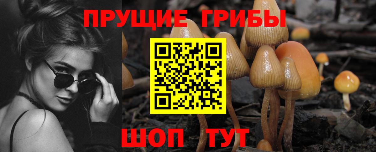 Галлюциногенные грибы MAGIC MUSHROOMS  Псилоцибиновые грибы Psilocybe  Вход с VPN  Альметьевск 